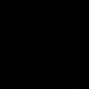 Meet your Posher, Salvador